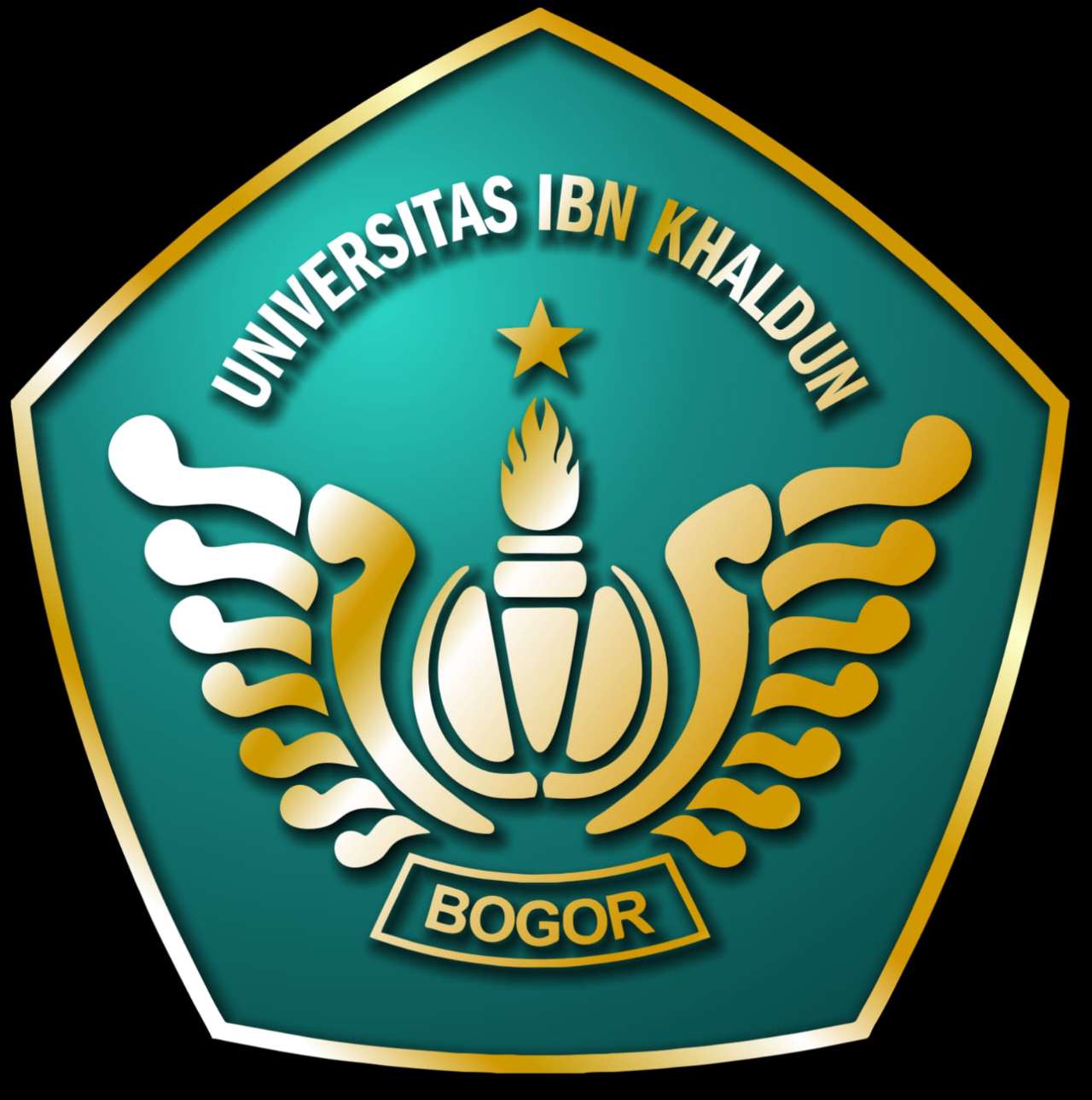 Organizer 1